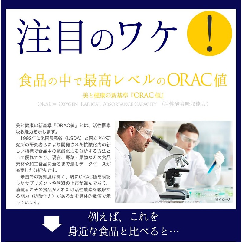 オーガランド マキベリー 200g（約33杯分）スムージー 置き換え 粉末 ベリー 粉末 スーパーフード