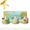 Tooarts| Scented Candle 100% Natural Soy Wax Long Last Clean