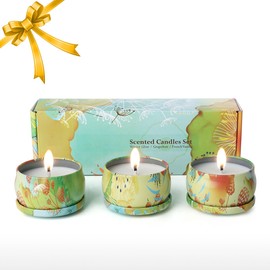 Tooarts| Scented Candle 100% Natural Soy Wax Long Last Clean Burning Gift Box Package Charming Fragrance Refresh Air Perfect Gift Home Decor Set of 3