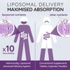 WELL ACTUALLY Advanced Immune Support & Elderberry - Liquid Liposomal