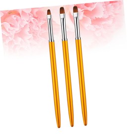 BIUDECO Nail Art Brush Set 3 pcs Round Head Nail Art Pen Portable Manicure Accessories for DIY Nail Art Lovers