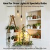 Cable Matters 2-Pack Hanging Light Cord with Switch - 25ft,