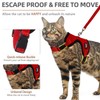PUPTECK Cat Harness and Leash Set Escape Proof, Reflective Adjustable
