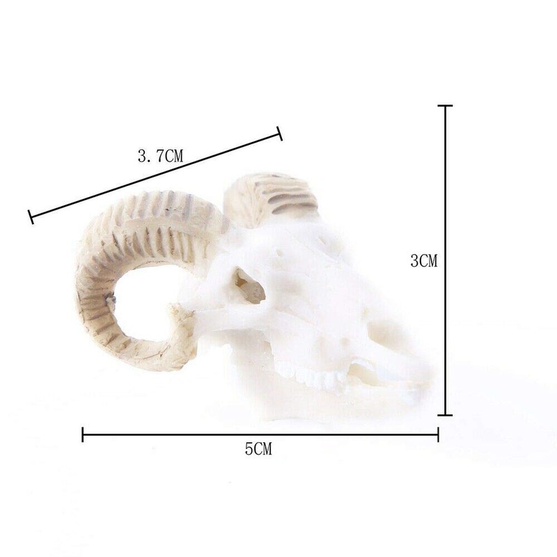 Wixine 1Pcs Aquarium Resin Sheep Head Skull Fish Tank Ornament