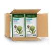 Four O'Clock Herbalist Detox Artichoke Herbal Tea, Non-Gmo, Kosher, Gluten-Free,