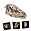 VILLFUL Unique Dinosaur Skull Model Skull Specimen Attractive Design for