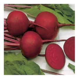 Premier Seeds Direct PREMIER SEEDS DIRECT - Beetroot Seeds - Detroit Dark RED - 400 Seeds - Organic