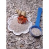 Hermit Crab Food, Oyster Shell Powder, Food and Bites Treats