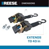 Reese Powersports 2060300 Retractable Transom Tie Down, 2 Inch x