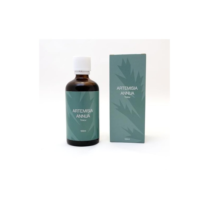 Artemisia annua Tinktur – 100 ml – 40 % Alkohol – Hochkonzentriert