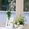 Impresa Suction Cup Window Plant Hanger - 2-Pack, Glossy Green
