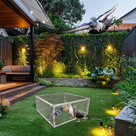 Pigeon Trap Cage with Escape-Proof Design – Auto Bird Trap Cage for Pigeons and Small Birds | Multi-Catch Pigeons Birds Traps for Sale with Well Anti-Rust Baking Paint- L Size