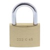 Burg Wächter 222 45 Padlock 45 mm C-Line