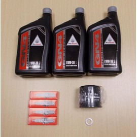 New 1999-2007 Honda VT 600 VT600 Shadow VLX OE Basic Oil Service Tune-Up Kit