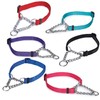 Guardian Gear Choke-Style Adjustable Martingale Dog Collar