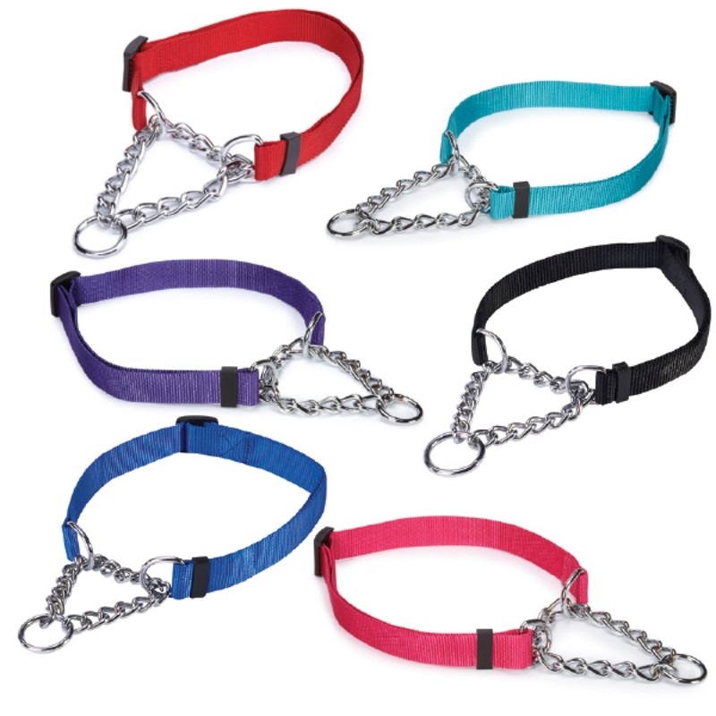 Guardian Gear Choke-Style Adjustable Martingale Dog Collar