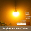 Qualilux Dusk to Dawn Light Bulbs, Auto On/Off Light Sensing