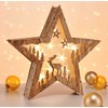LED Decorative Light Star or Fir in 3D Design Made