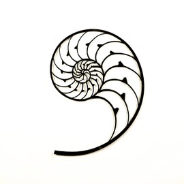 Colorfull Worlds Golden Ratio Metal Wall Art, Fibonacci Spiral Wall Decor, Nautilus Art Home and Office Decor Gift for New Year, Christmas or Housewarming (18,5" x 13,8" | Black)