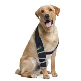 KISFLY Dog Elbow Brace Protector for Canine Elbow and Shoulder Support Elbow Calluses Pressure Sores and Shoulder Dislocation Elbow Braces for Dogs Prevent Licking Wound with Reflective Right Leg M