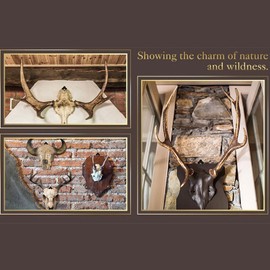 SUIOPPYUW 12pieces Heavy Duty Deer Hanger Hooker with Antler Mounting Kit Suitable for Indoor and Outdoor Decoration Metal