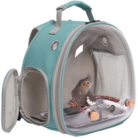 Small Bird Travel Backpack Carrier Cage, Backpack to Transport Backpack Carrier with Metal Tray Stand Perch for Parakeet Cockatiel Budgies Vet Carry Book Bag (Green)
