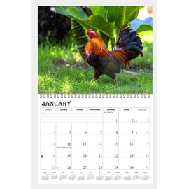 2026 Spiral-bound Wall Calendar (Roosters) - 12 Months Desktop/Wall Calendar/Planner (11x17)