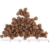 SweetGourmet Sweetened Carob Chips, Chocolate Alternative, Caffeine-Free, Kosher, Natural Sweet