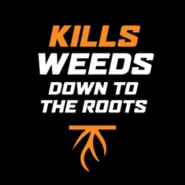 Ortho WeedClear Lawn Weed Killer Ready-To-Use with Comfort Wand, Kills Crabgrass, Dandelion and Clover, 1.33 gal.