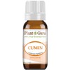 Cumin Essential Oil 10 ml 100% Pure Undiluted Therapeutic Grade.