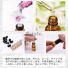 Pstyle. PST-006 Roll-On Bottles, Containers, Light Filtering Jars, Roll-On Set