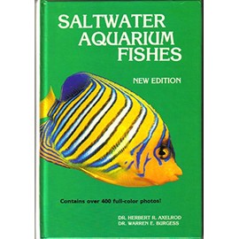 Saltwater Aquarium Fishes