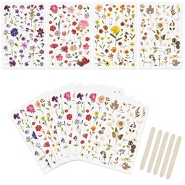 WANDIC 16 Sheets Rub On Transfer Stickers, Dry Flower Theme Stickers Transparent Waterproof Natural Decals for Scrapbook Journal Planner Album