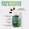 Ashwagandha Gummies 30:1 Extract - 3000mg Equivalent - Advanced Ashwagandha