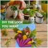 Iceland Moss, Moss in 5 Different 200 g for Moss