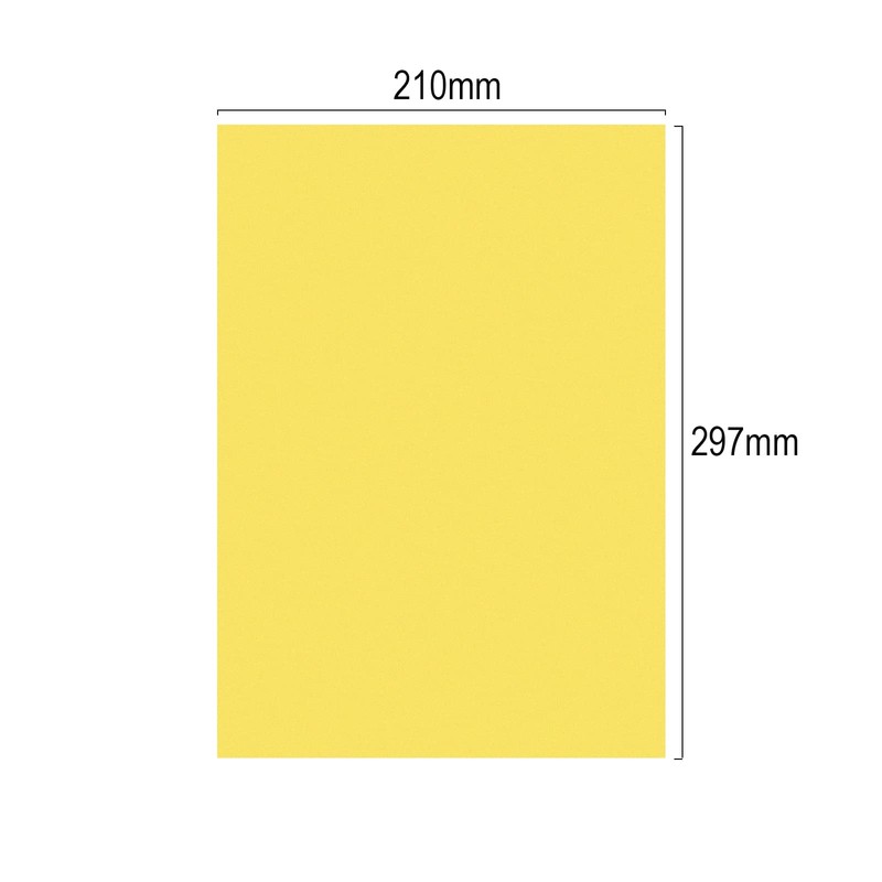 Carehabi 20 Colours A4 80 gsm, 100 Sheets Coloured Paper,