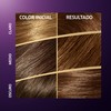 Wella Colour Perfect 7 100% Cobertura de Canas 4/77-Castaño aterciopelado