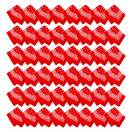 Winterlace 48 Pack Bandanas, Unisex One-Sided Print Paisley Retro Head Wrap Necktie Face Cover Bulk