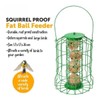 Foglish Home & Garden Squirrel-Proof Suet Fat Ball Bird Feeder,