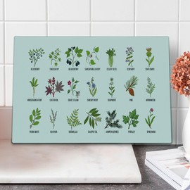 Ambesonne Herb Cutting Board, Natural Treatment Infographic Scheme with Healthy Plants and Names Herbalism Themed, Decorative Tempered Glass Cutting and Serving Board, Large Size, Multicolor