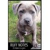 Ruff Notes - I Believe In You