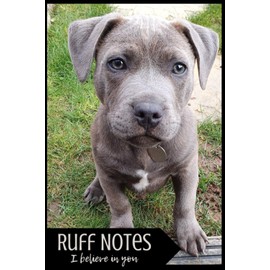 Ruff Notes - I Believe In You