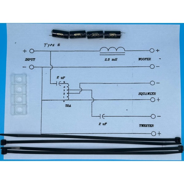 Crites Speakers Type E Rebuild Kit Silver Edition (2 Speakers)