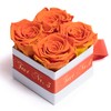 ROSEMARIE SCHULZ Heidelberg Rose Box Individual with Desired Text Infinity