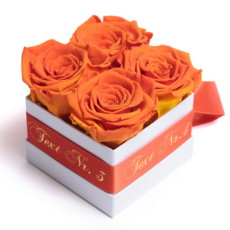 ROSEMARIE SCHULZ Heidelberg Rose Box Individual with Desired Text Infinity