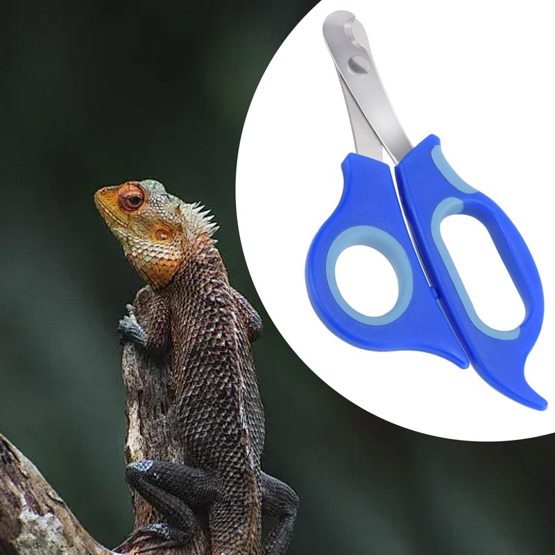 KEUYE Bearded Dragon Nail Clippers,Stainless Steel Bearded Dragon Toe Nail