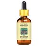 Devprayag Pure Vanilla Essential Oil (Vanilla planifolia) with Glass Dropper