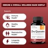 Sandhu's Zinc Quercetin 120 Vegetarian Capsules (Pack of 1) |
