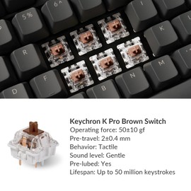 Keychron K10 Full Size 104 Keys Bluetooth Wireless/USB Wired Mechanical Gaming Keyboard with Keychron Super Brown Switch/RGB Backlight/Multitasking Computer Keyboard for Windows/Mac, Aluminum Frame