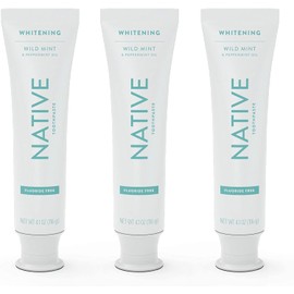 Native Toothpaste Made from Naturally-Derived Cleaners and Simple Ingredients That Safely Whitens Teeth, 4.1 oz, Wild Mint Fluoride Free - 3 Count